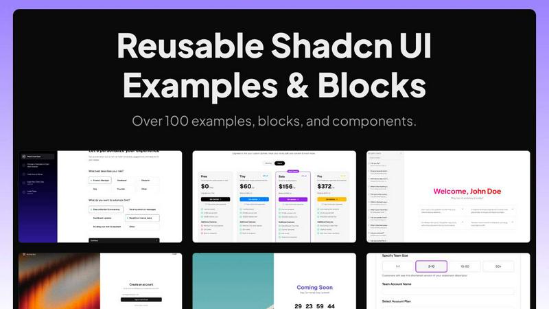 Shadcn Examples application interface and features